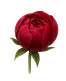 گل
